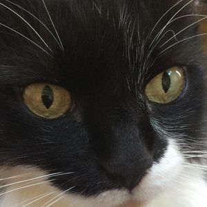 Meet your Posher, Eileen